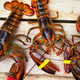 Illustration for article titled Lobsters were once only fed to poor people and prisoners
